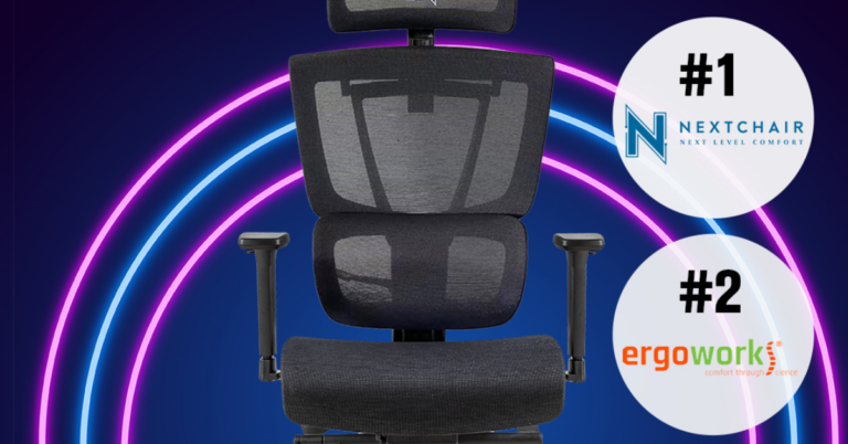 Comparison of Ergonomic Chair Features: Ergoworks vs. Take A Seat